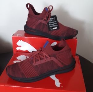 Puma sr evo knit burgandy